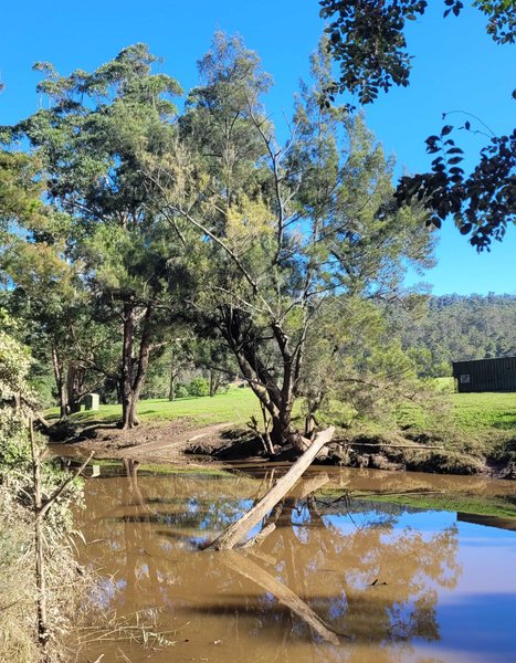 Colymea State Conservation Area explore : May 31 2025