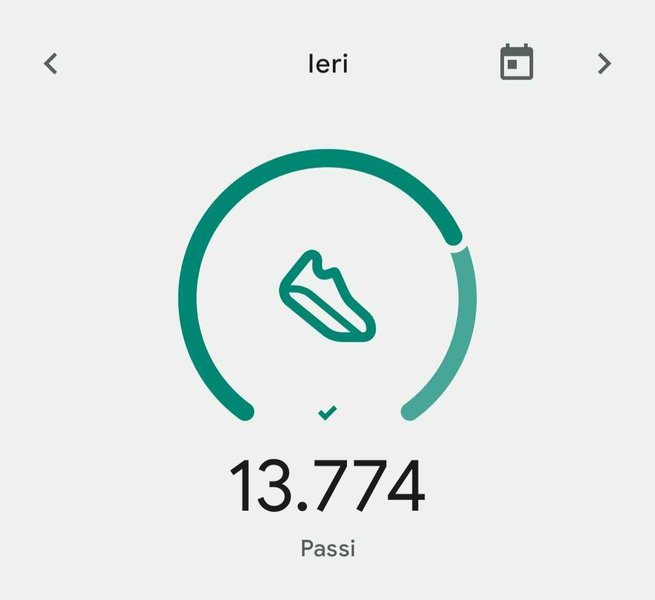 Il mio Report Actifit: Novembre 24 2023