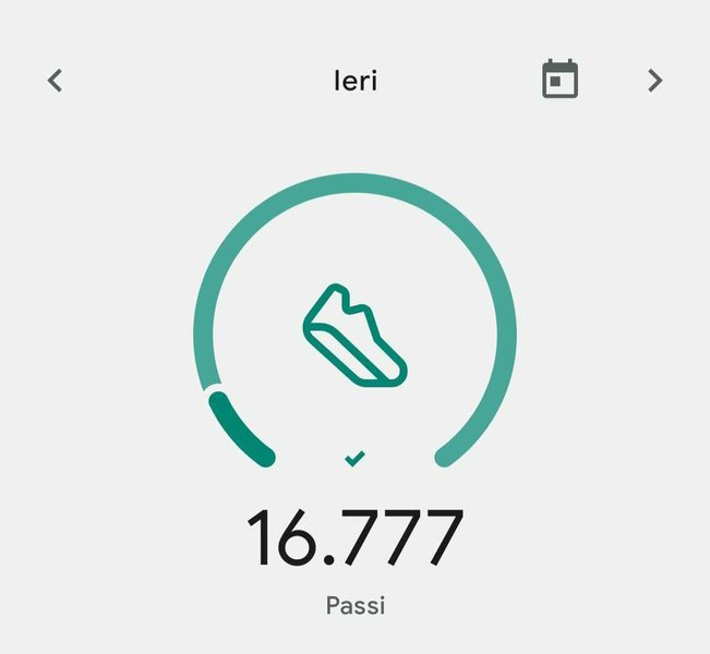 Il mio Report Actifit: Dicembre 7 2023