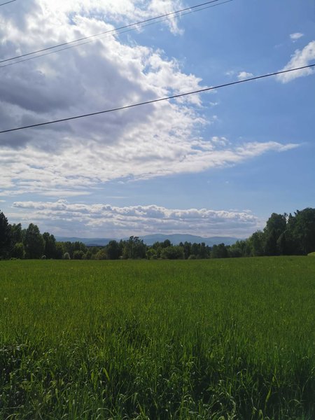 Regeneracja : May 12 2025