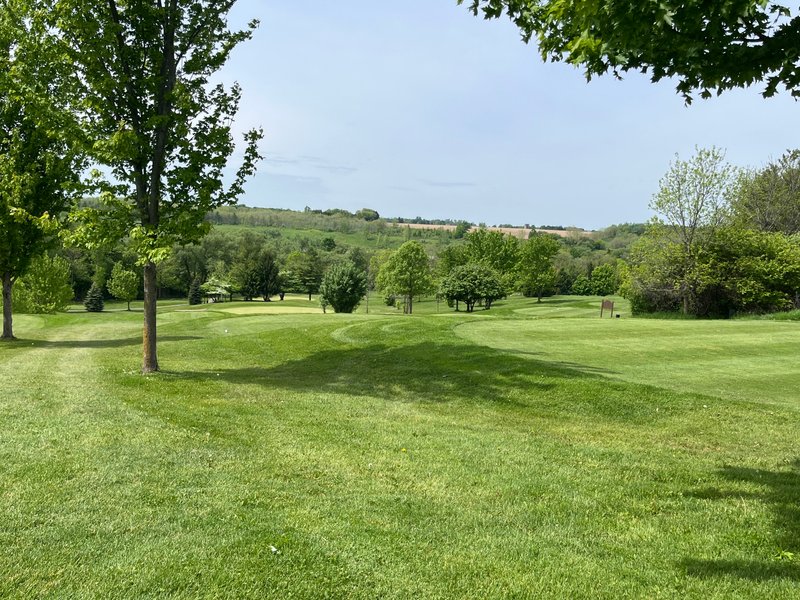 Friday Golf Extravaganza