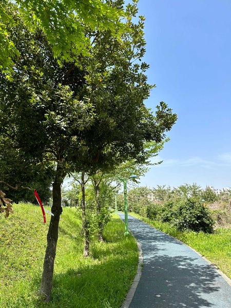 My Actifit Report Card: April 22 2023