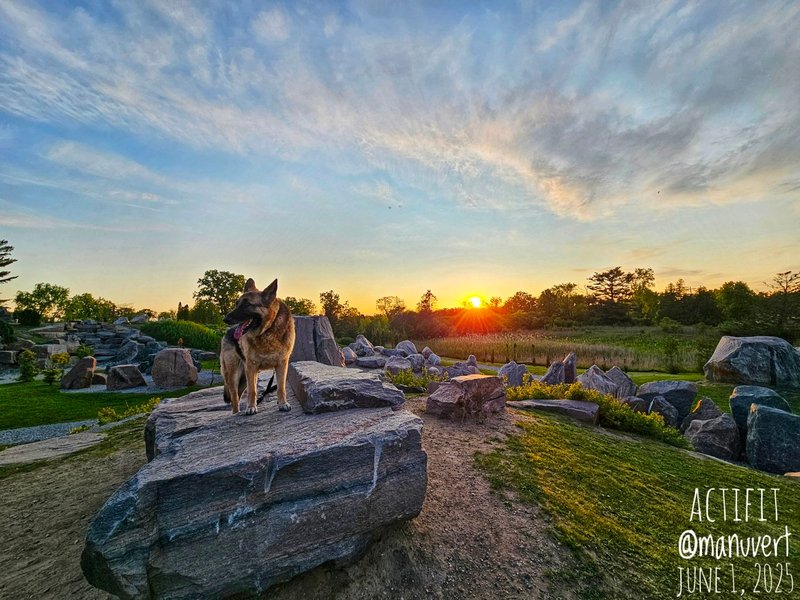 Carpenter Lake Nature Preserve - My Actifit Report Card: June 1 2025
