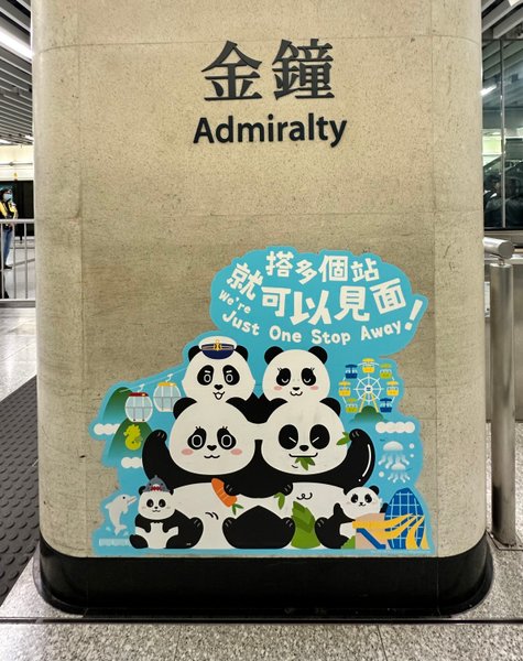 Giant Panda train cabin decorations