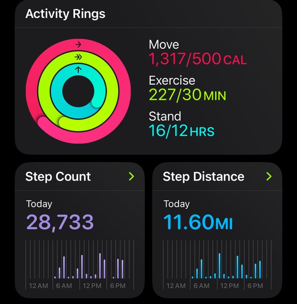 My Actifit Report Card: April 22 2025