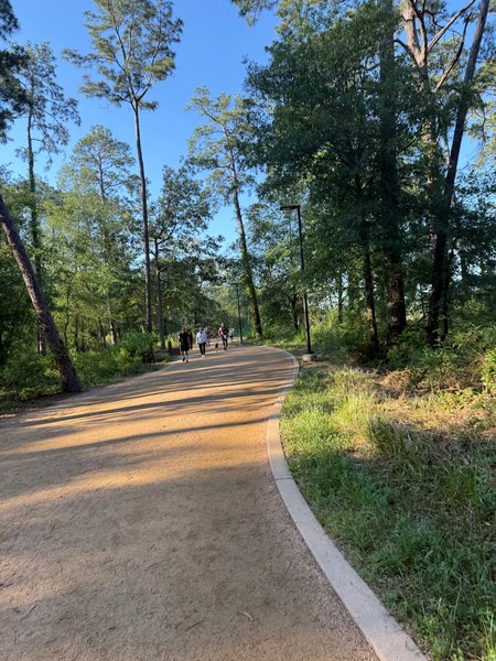 My Actifit Report Card: May 10 2025