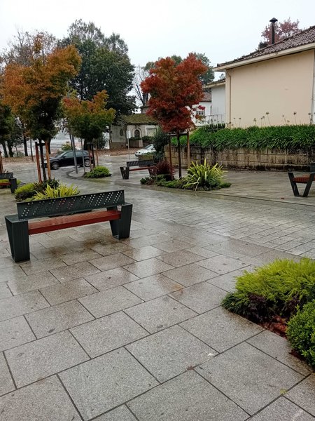 Rain garden - Jardins de chuva