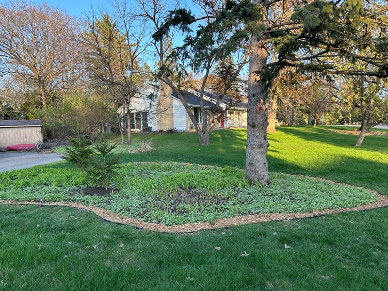 Gardening Projects Galore: May 4 2025