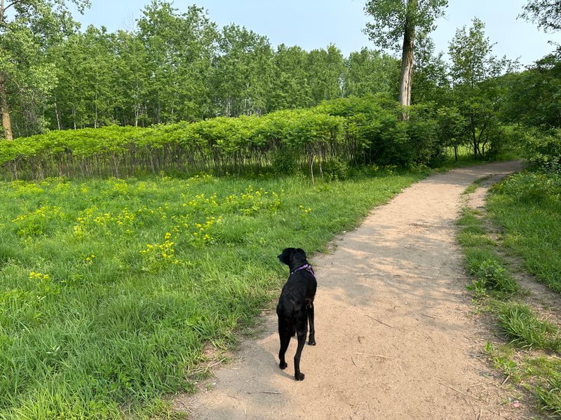 A beautiful Sunday: June 1 2025
