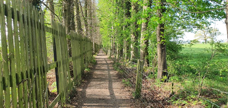 6 km
