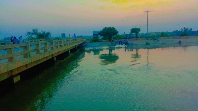 A Healthy Photowslk||And Enjoy Chicken kraha||My Actifit Report Card: May 15 2025
