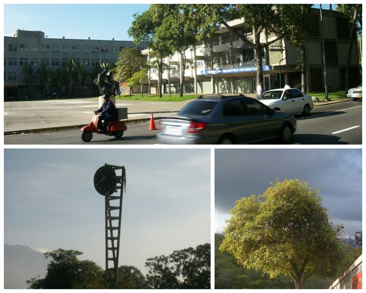 My Actifict report: june 4, 2025 - A Walk Full of Memories / Una Caminata Llena de Recuerdos   