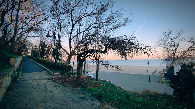 Walking in the sea garden