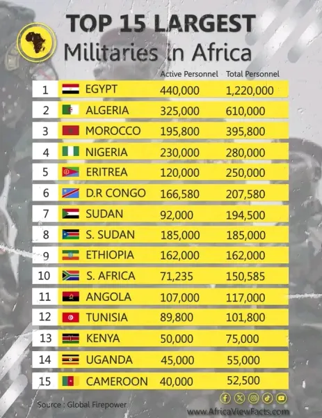 ﻿Africa's Largest Military Forces (2024)