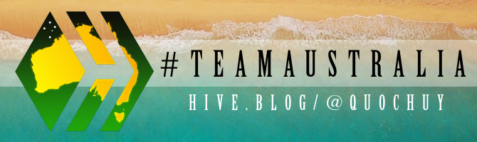 https://images.hive.blog/950x0/https://images.hive.blog/DQmY58ufbBR5GsnqDMbHrNSBBb3gqu8JZK46Hdiffi1YxV6/team-australia-hive-badge-slim-beach-quochuy.png