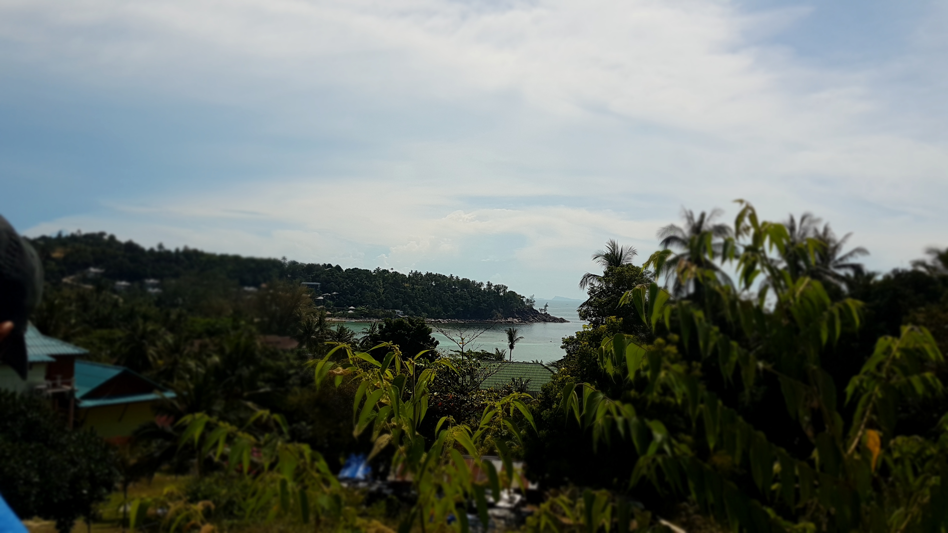 20210330_143551.jpg