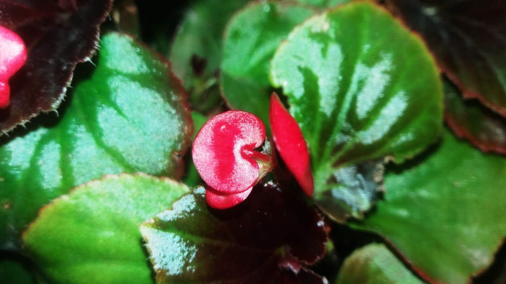 CYMERA_20201113_123320.jpg
