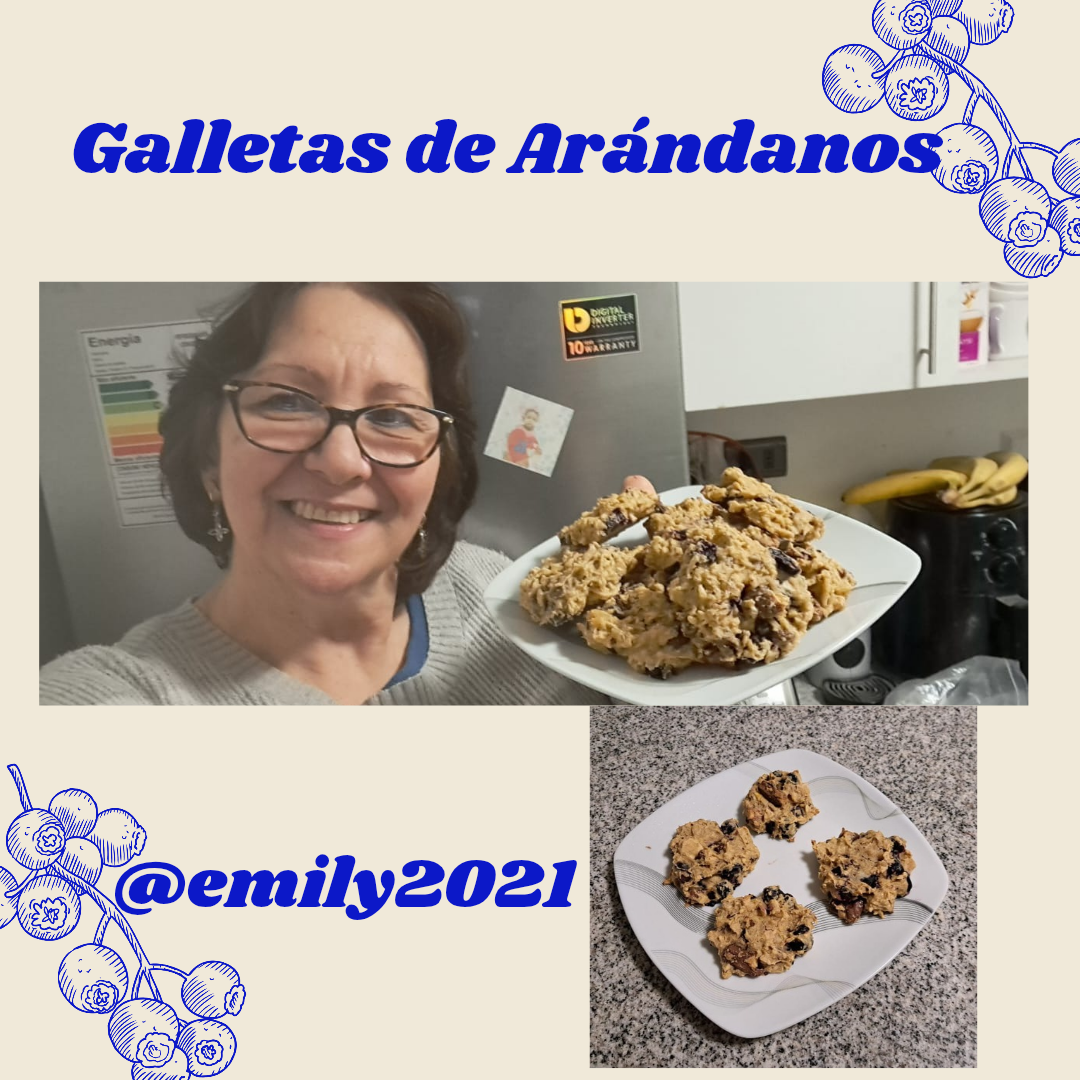 Galletas de Arándanos_20250725_185505_0000.png