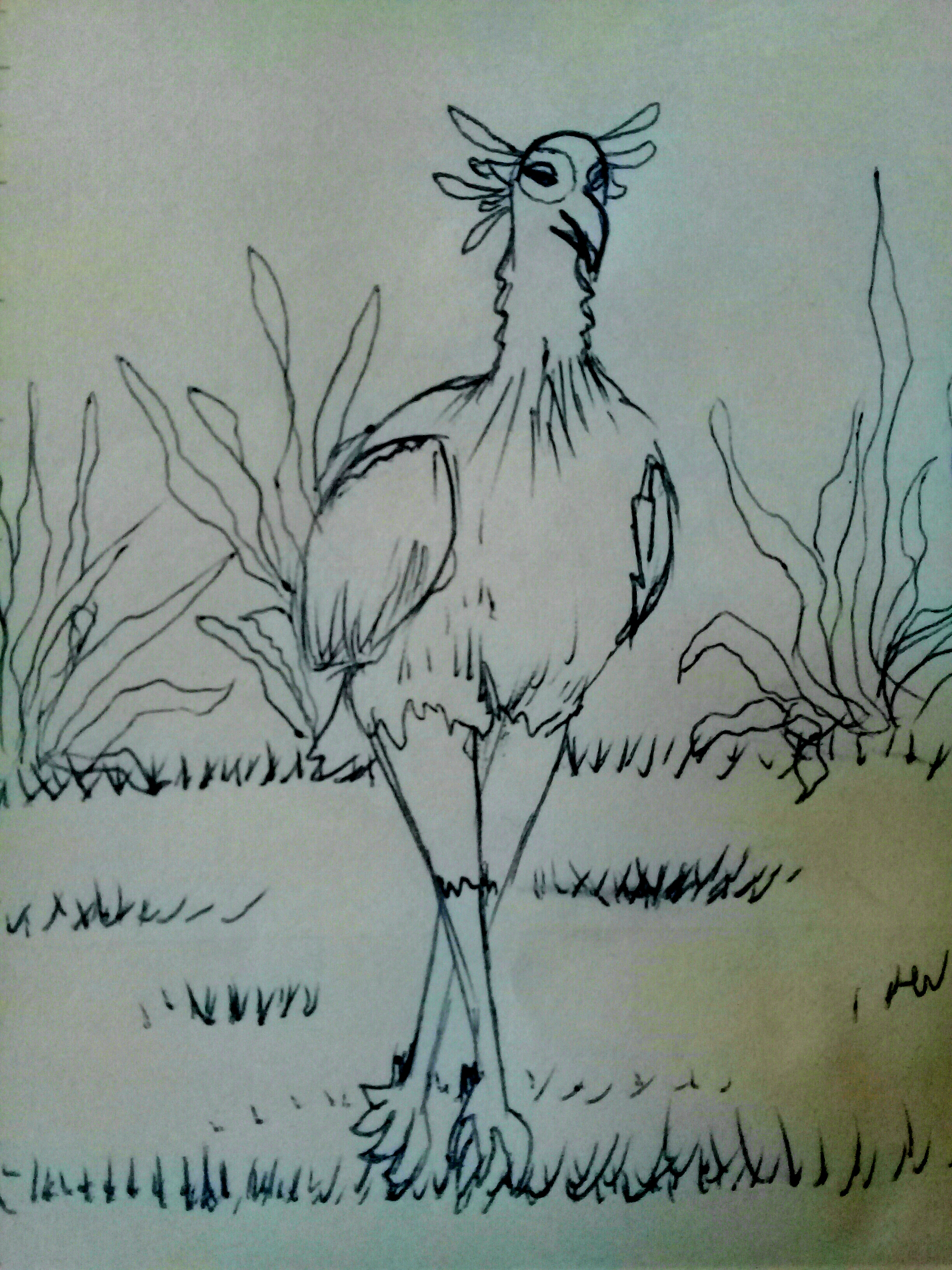 20201208_092459.jpg