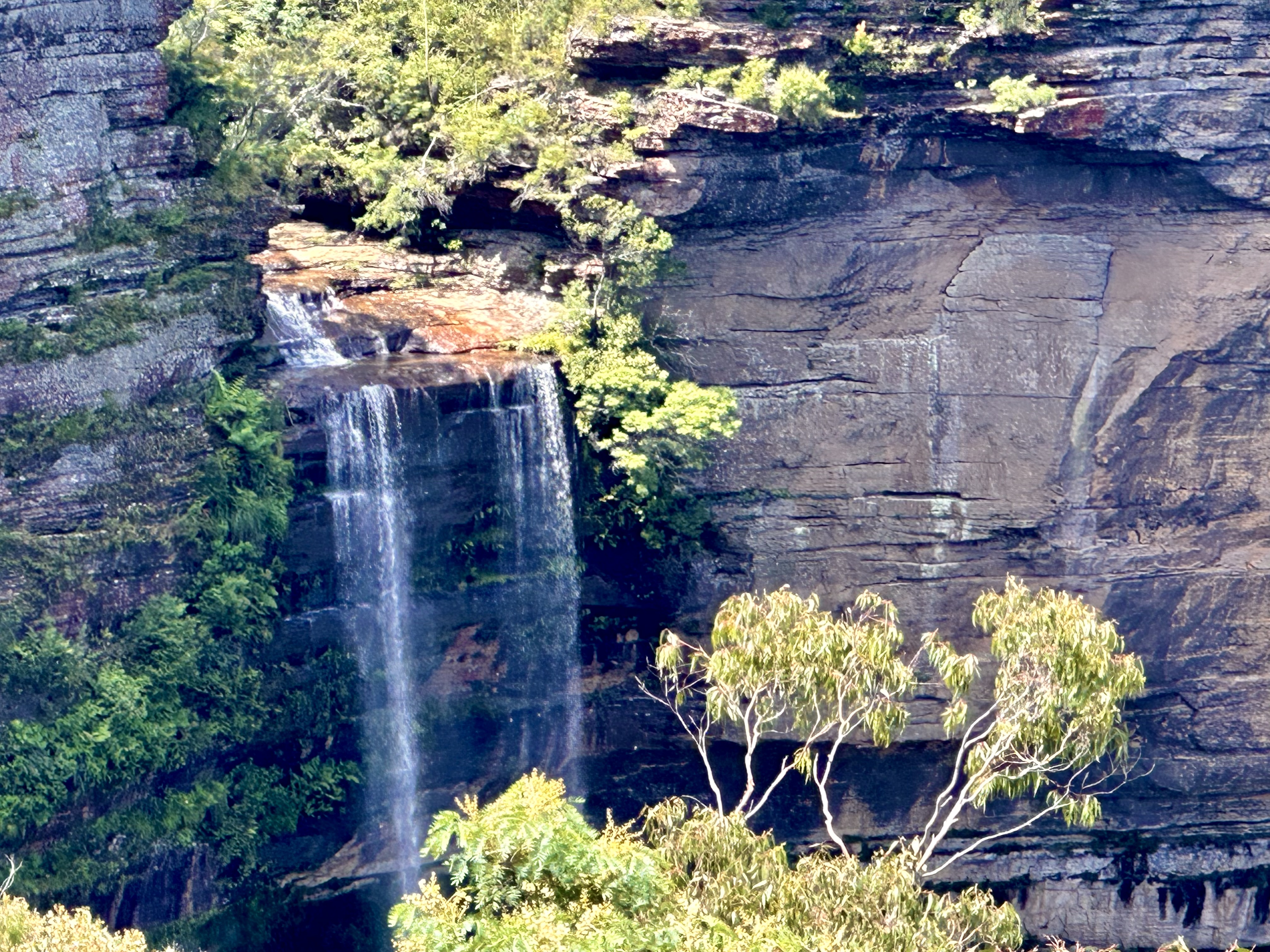 DC3447F1-0257-43CE-AC5D-51CA969C7609.jpeg