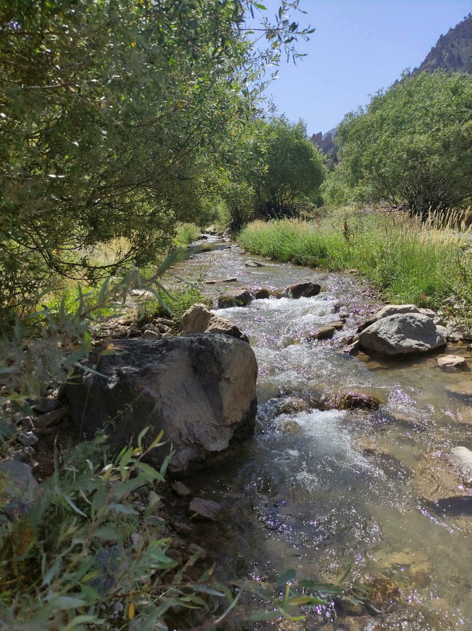 IMG_20250708_101056_177.jpg