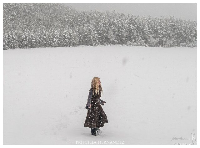 snow -640- by Priscilla Hernandez.jpg