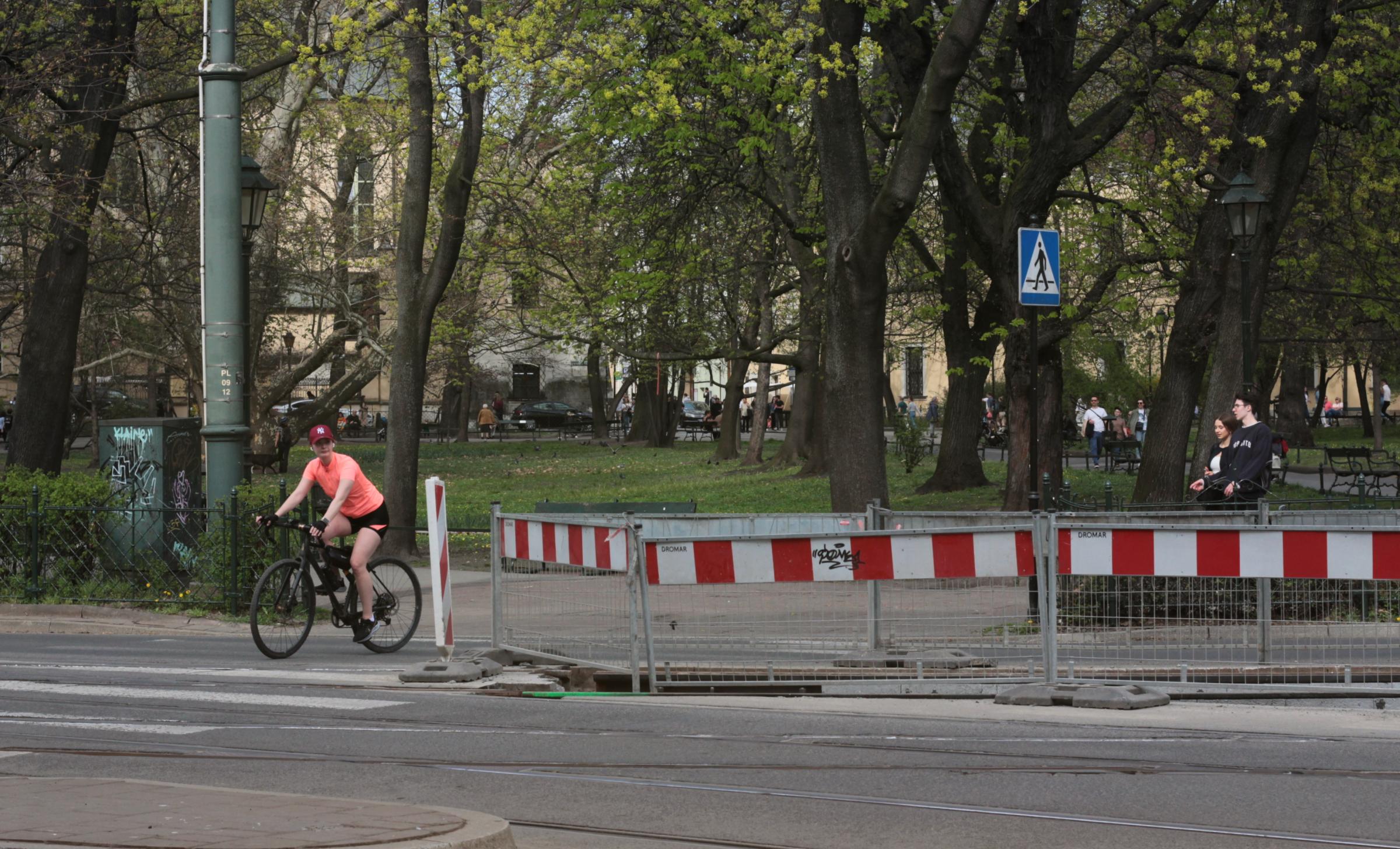 IMG_6250-crop.JPG