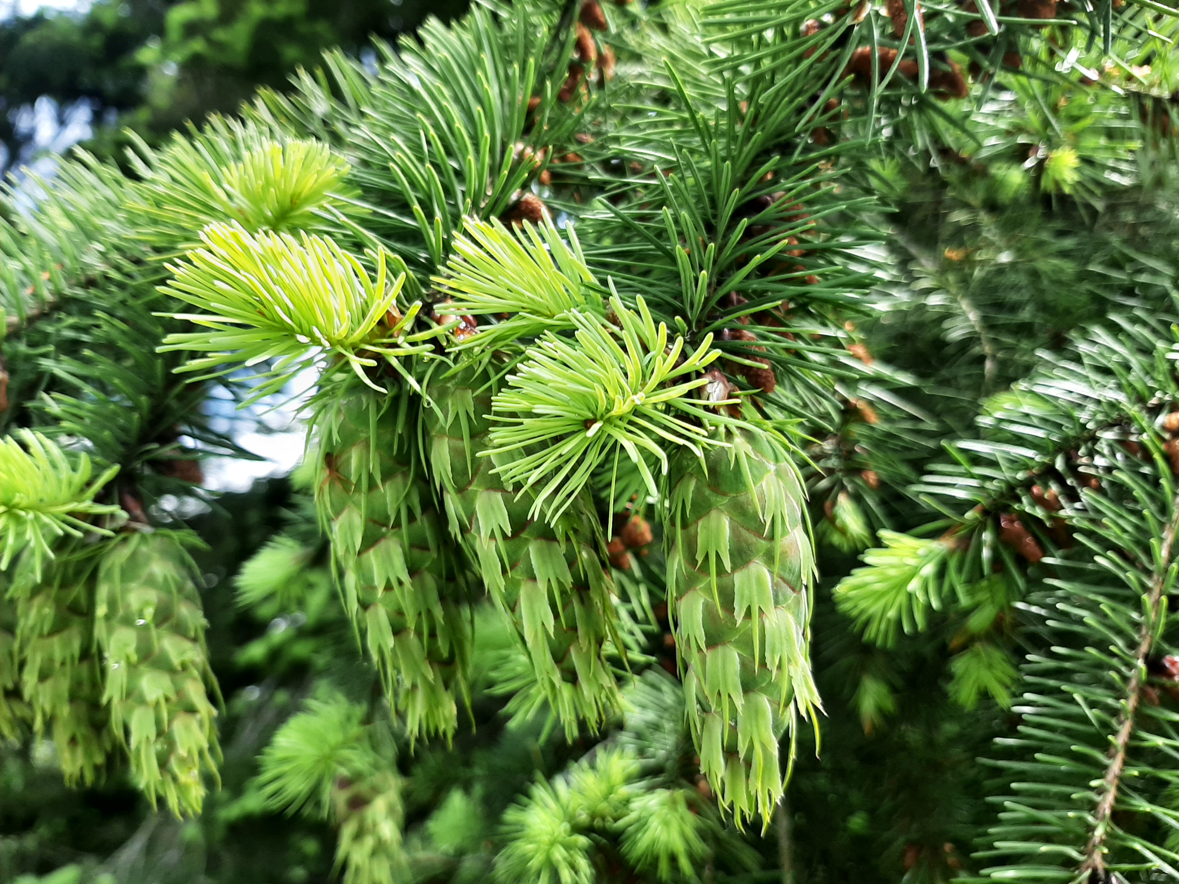 20220610_111419.jpg