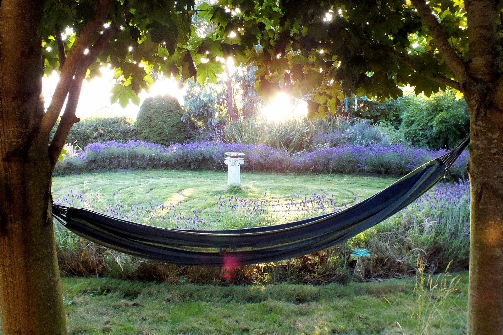 0286Hammock.JPG