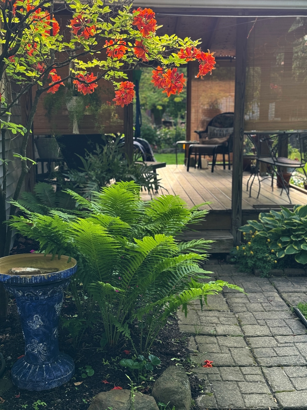 hivegarden-5.jpg