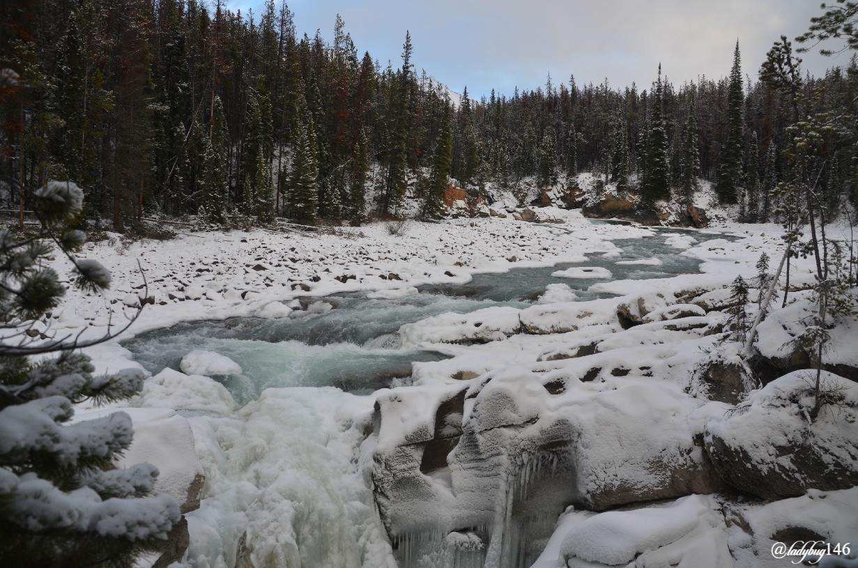 sunwapta falls (4).jpg