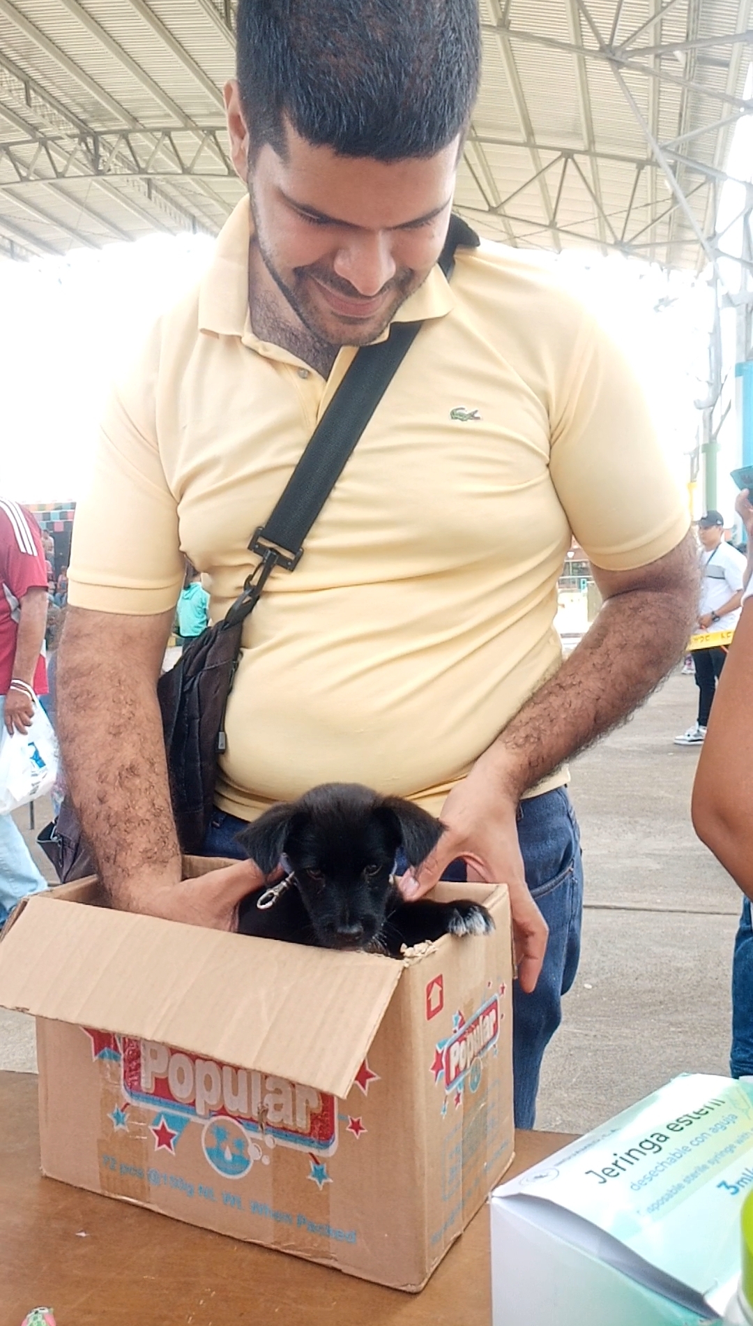 perrito en caja