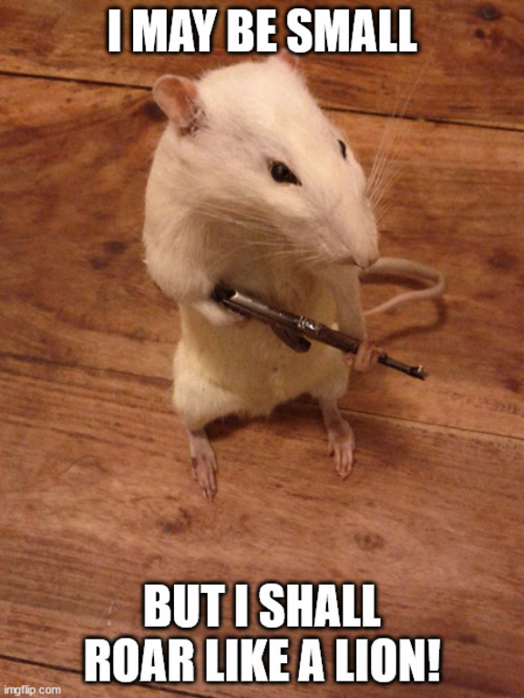 Screenshot_2020-12-21 Rebellious Rat Meme Generator - Imgflip.png