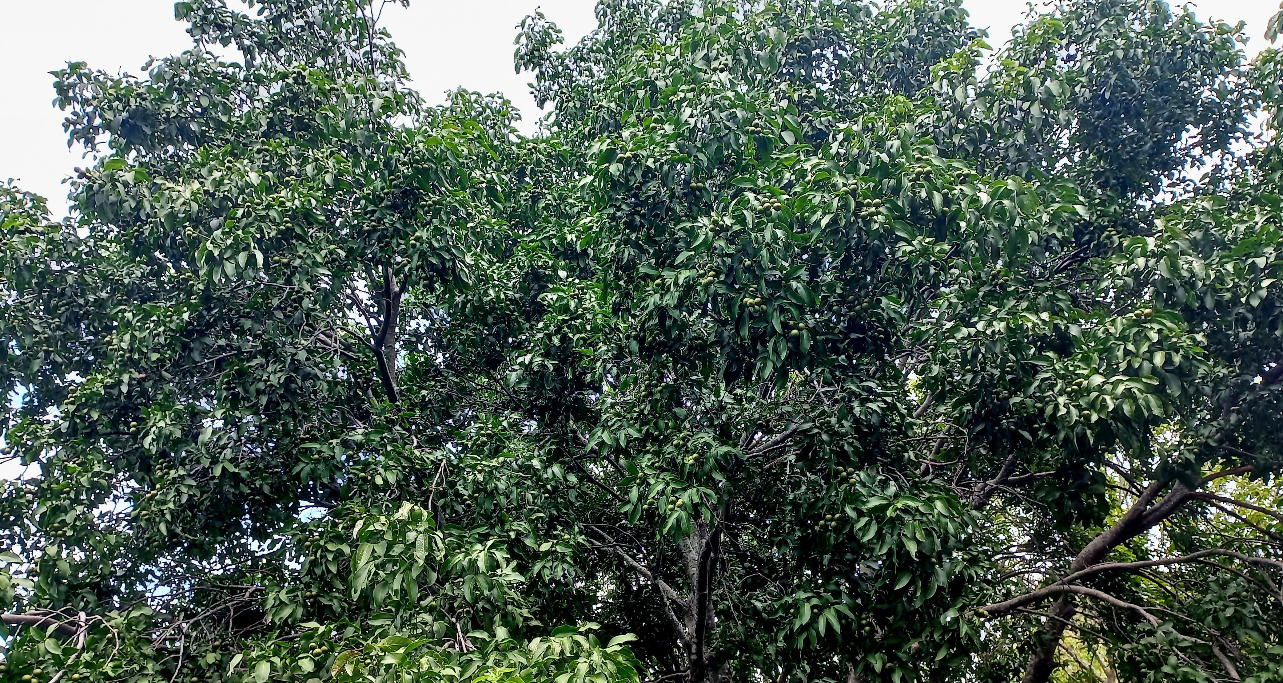 20250724_131039.jpg