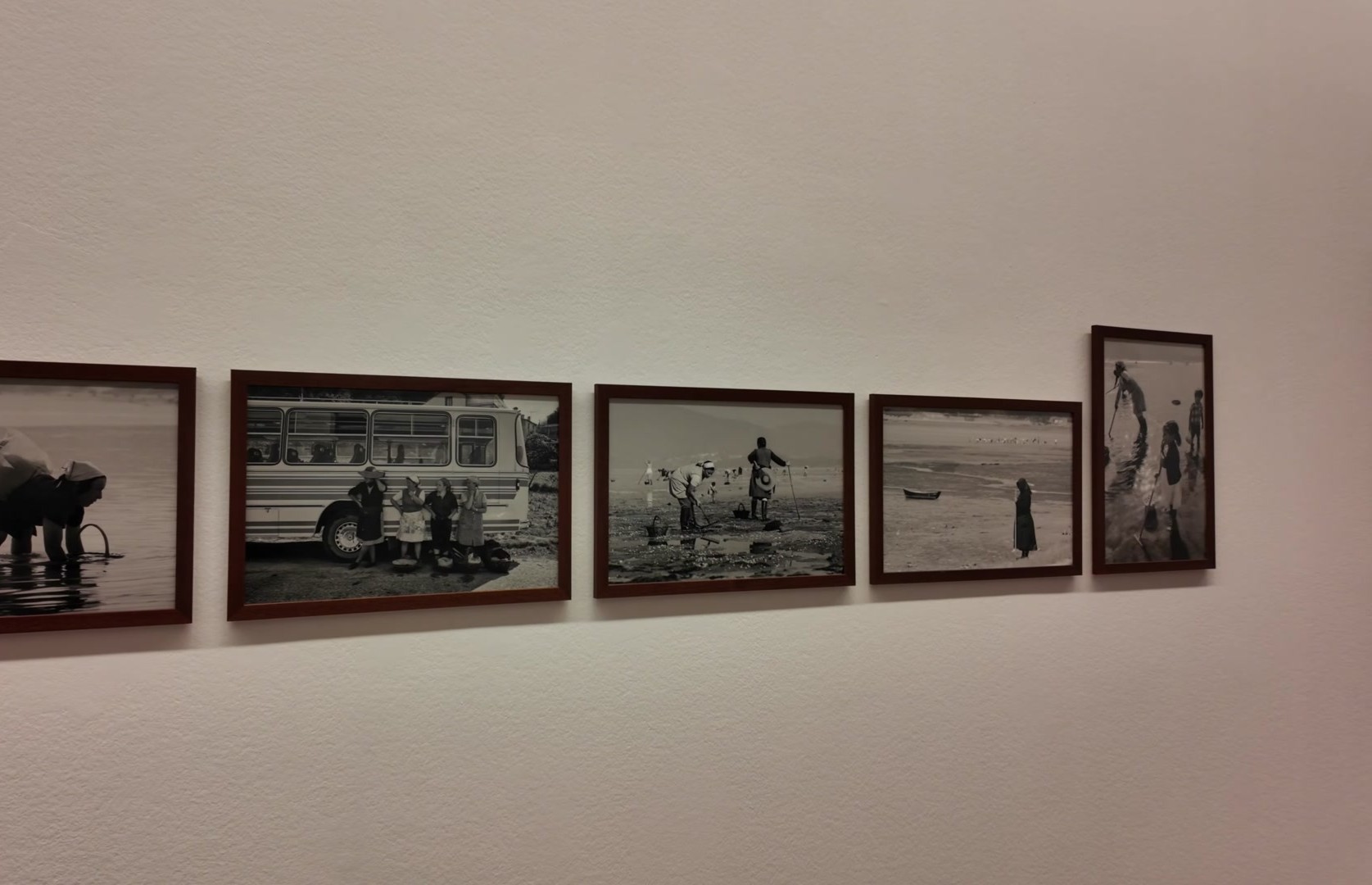 144.jpg