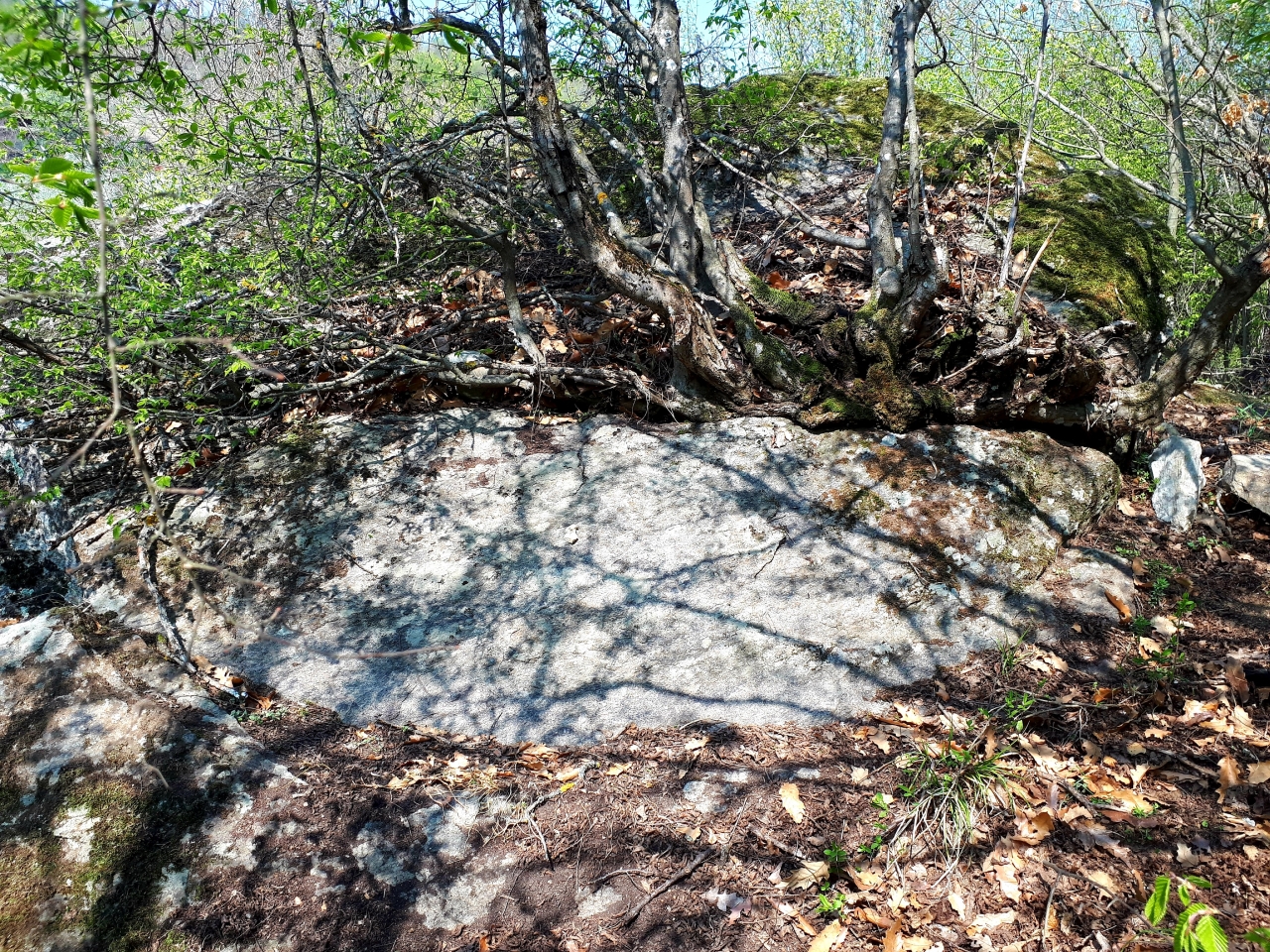 20190407_125911.jpg