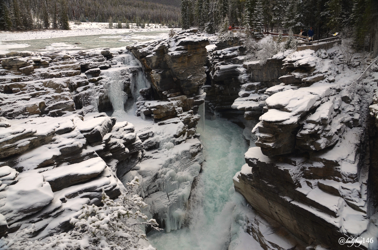 athabasca falls (6).jpg