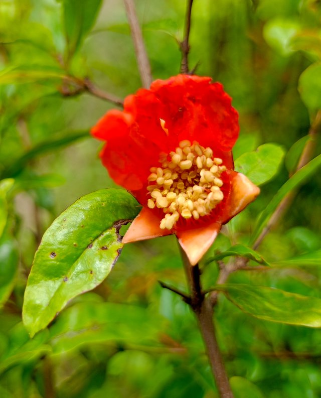 IMG_3544536.JPG