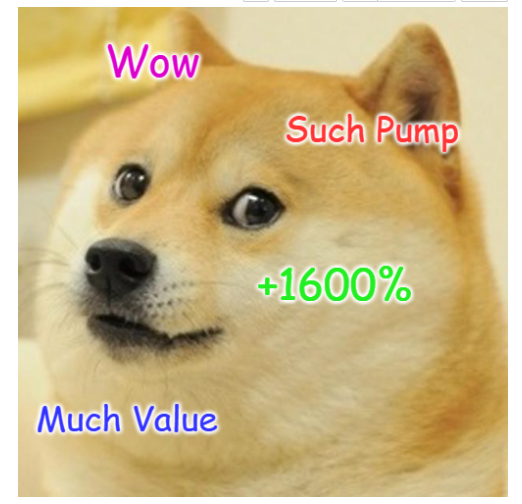 doge.png