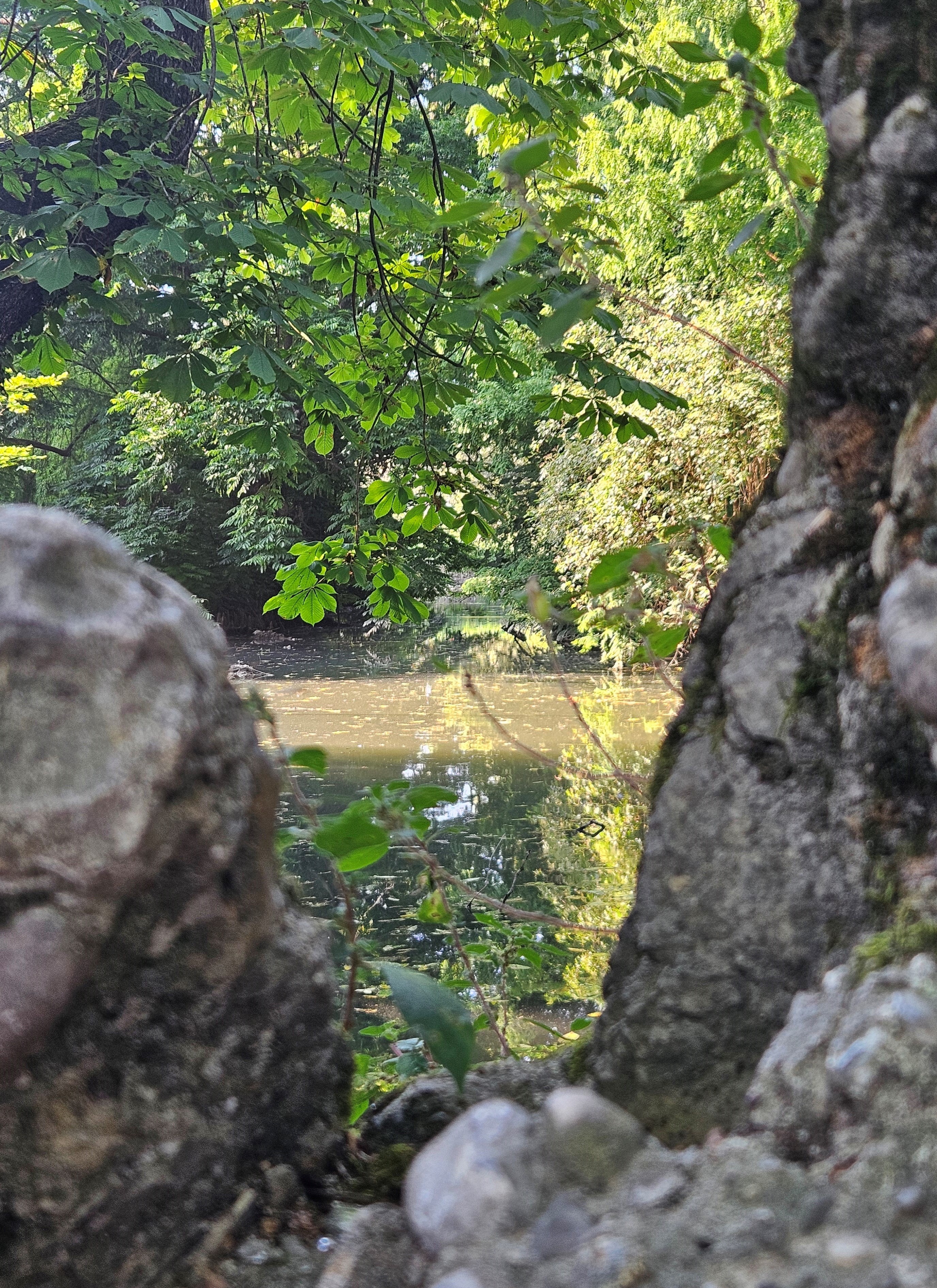 20250622_191145.jpg