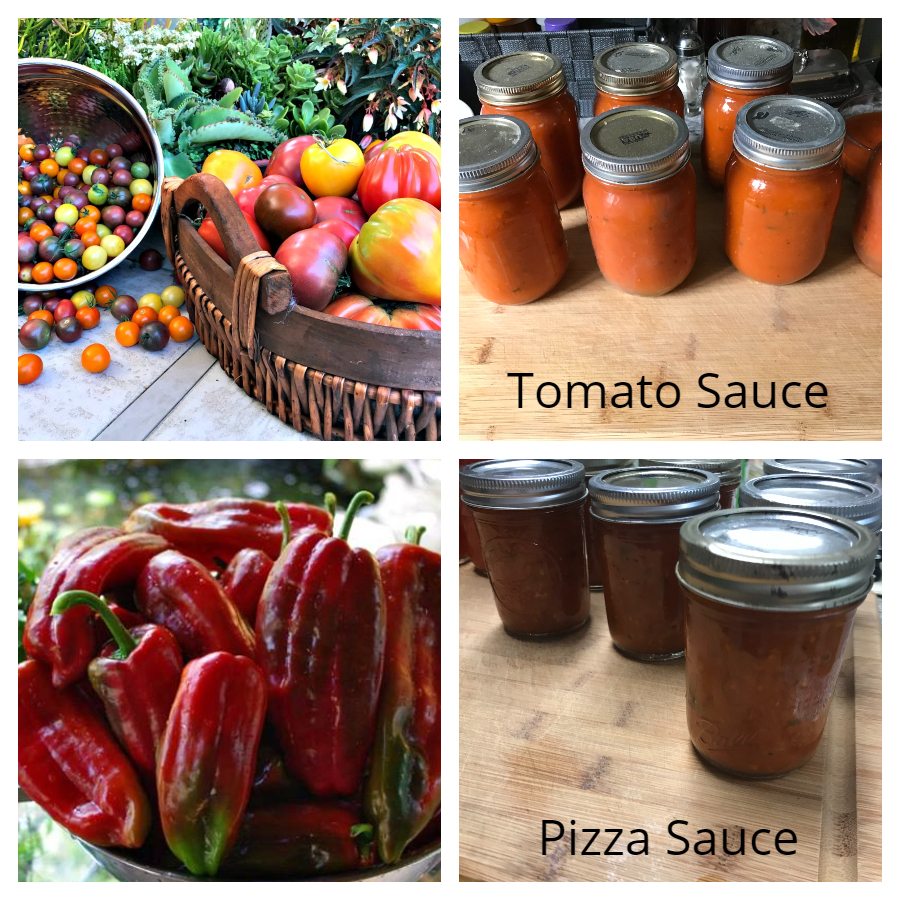 canning tomato and pizza sauce.jpg