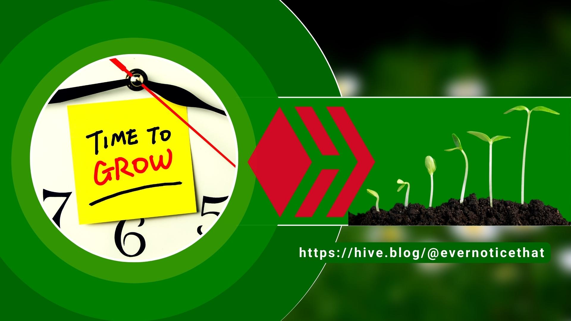 personal-growth-blog-hive-blockchain @EverNoticeThat.jpg