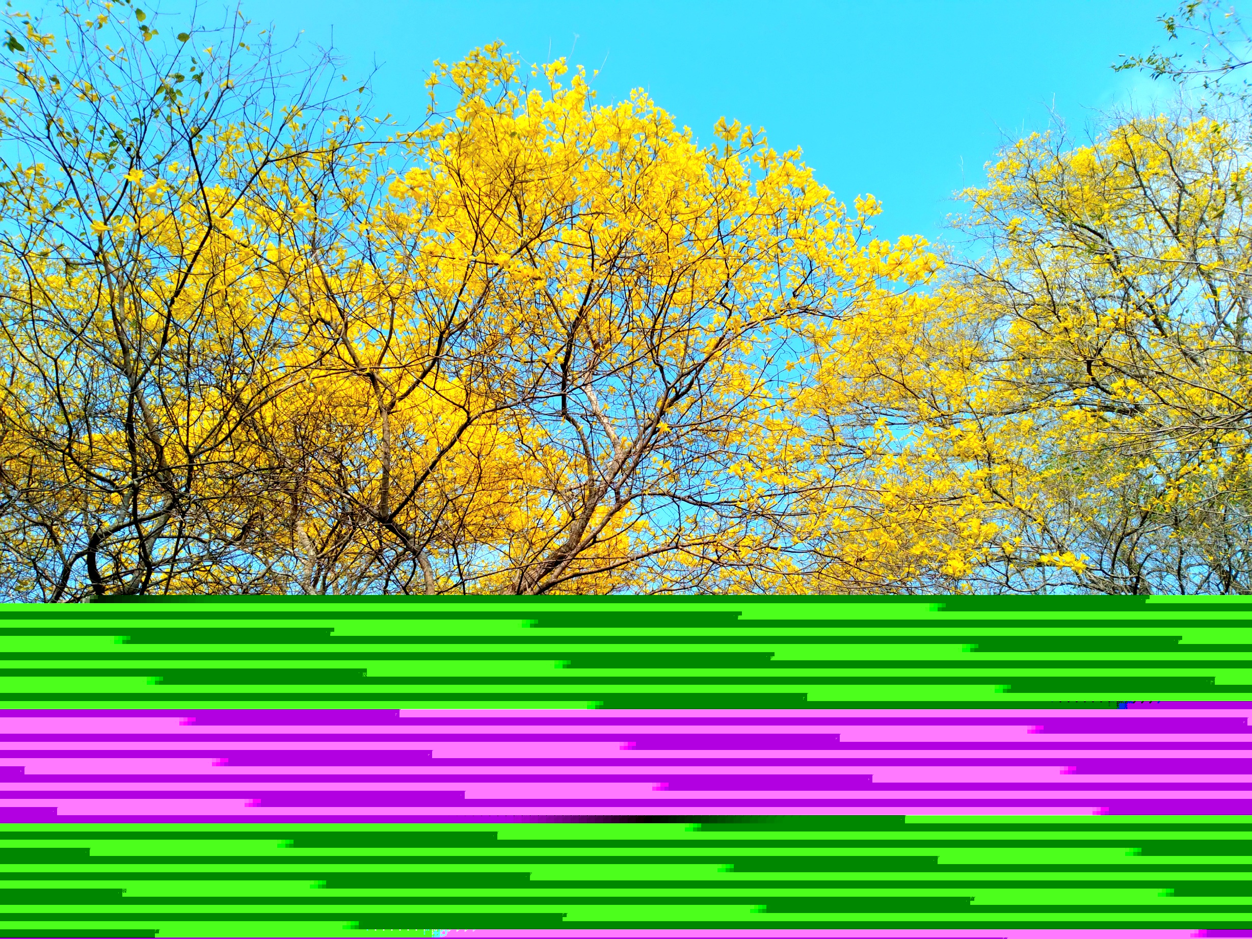 20250321_092920.jpg