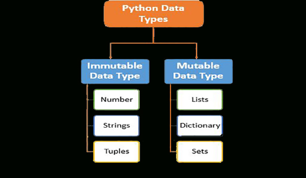 data type1(1).jpg