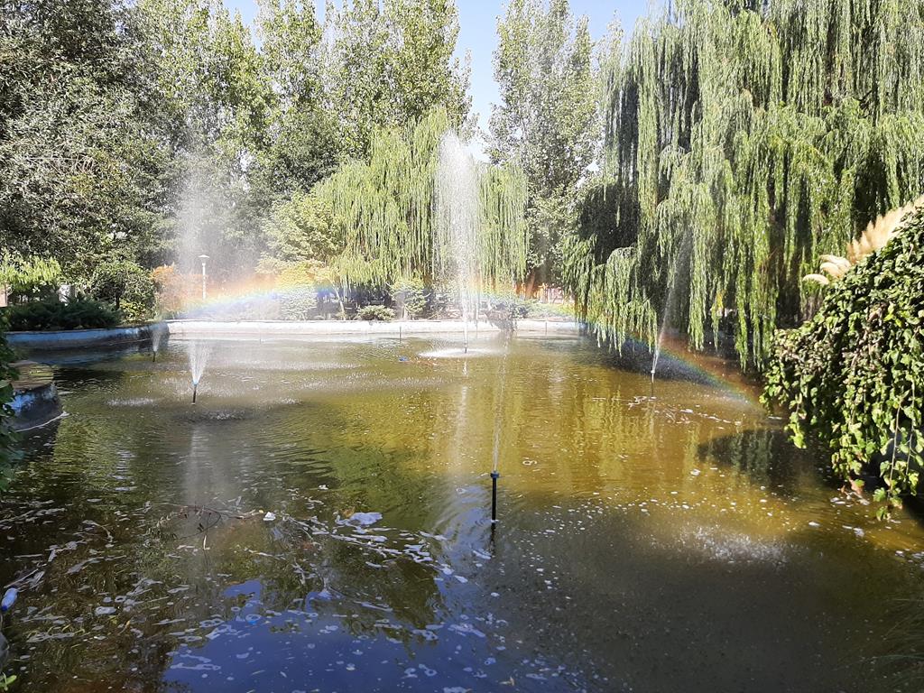 https://images.hive.blog/DQmNU4EnZeJk9ffB3mmA3W2xMcdQsNnJHeCQhbyXpc583mW/20210909_101550.jpg
