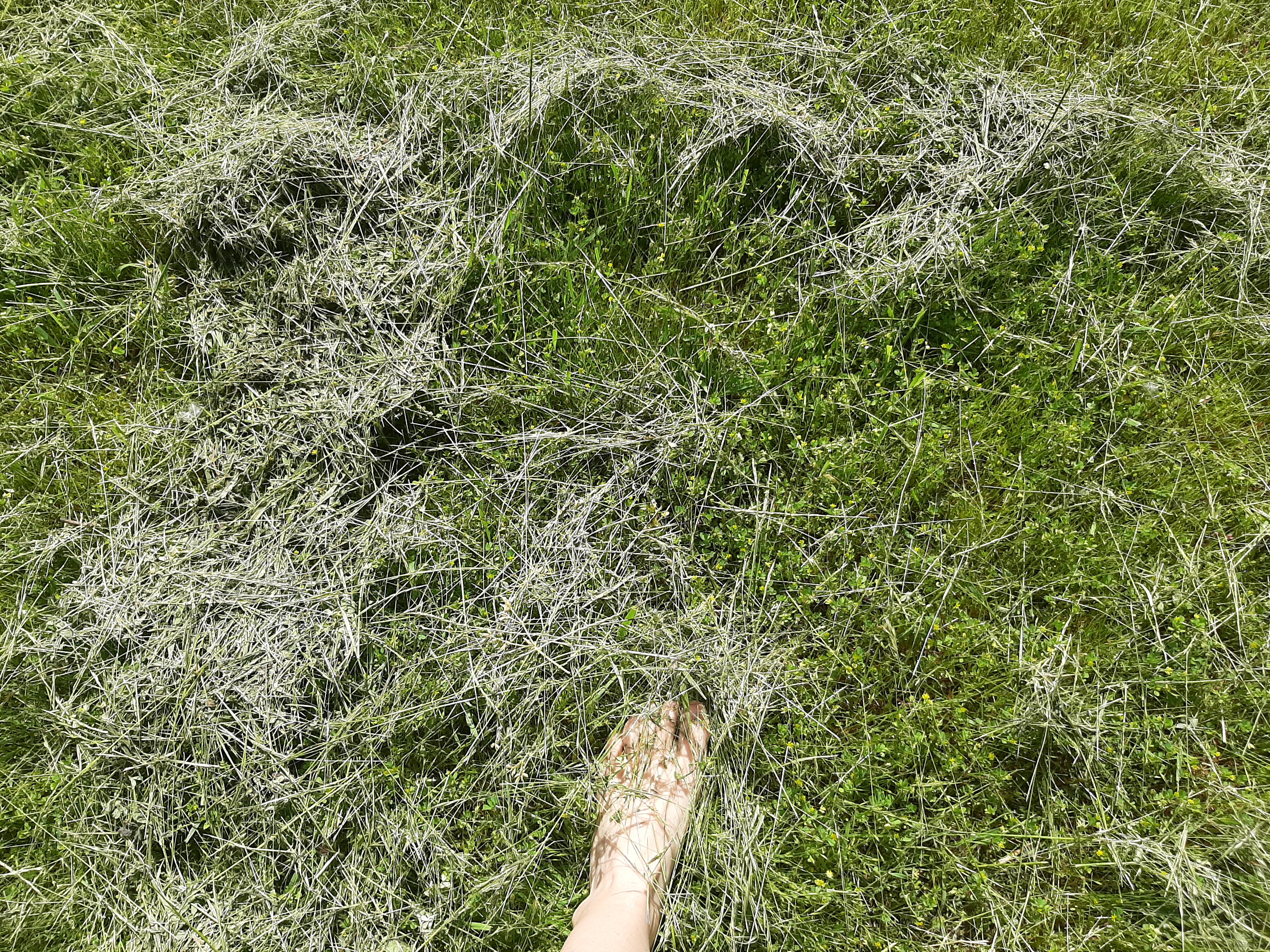20220610_111316.jpg