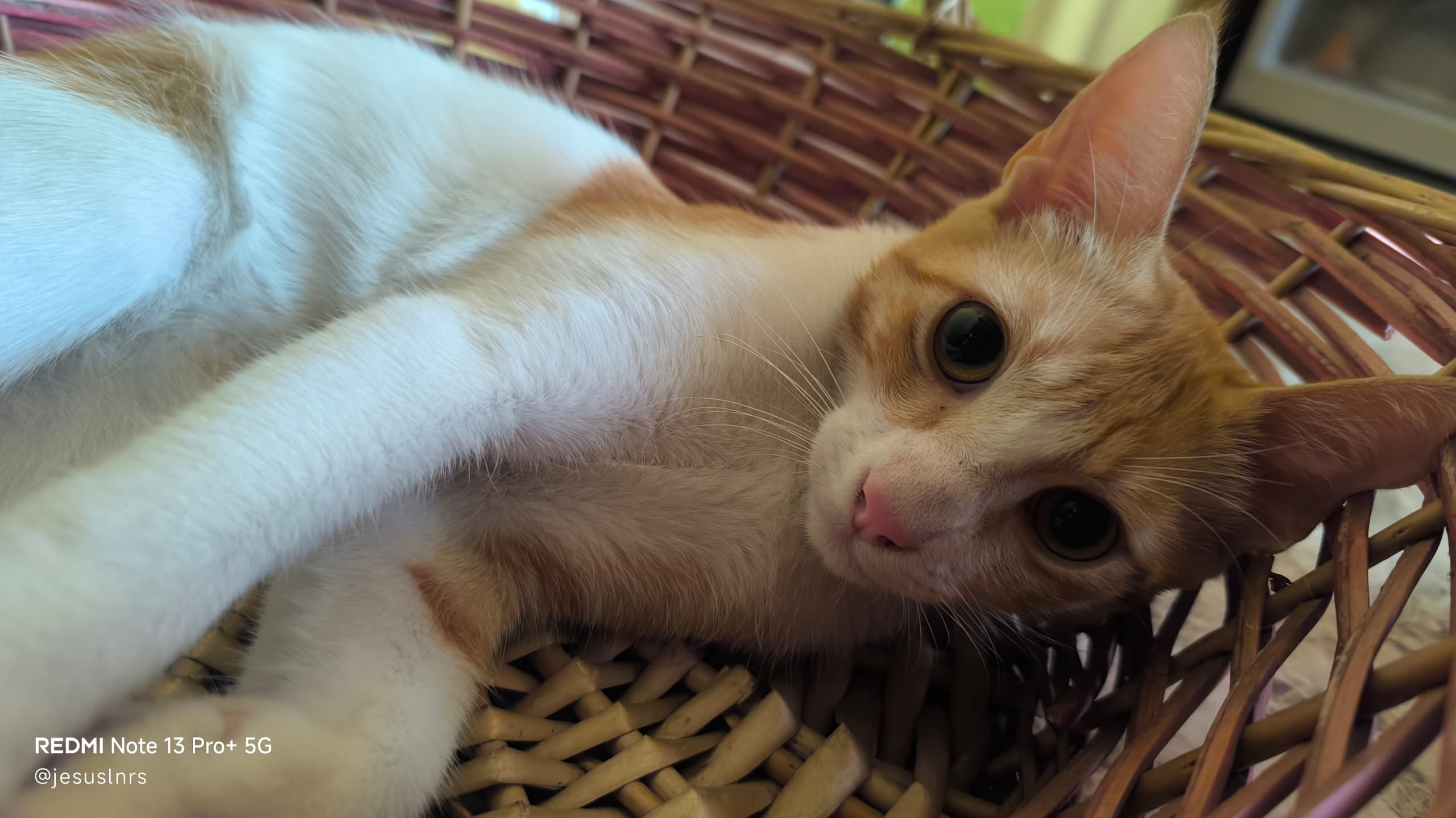 FIIIIIRUUUUMIAU!!!