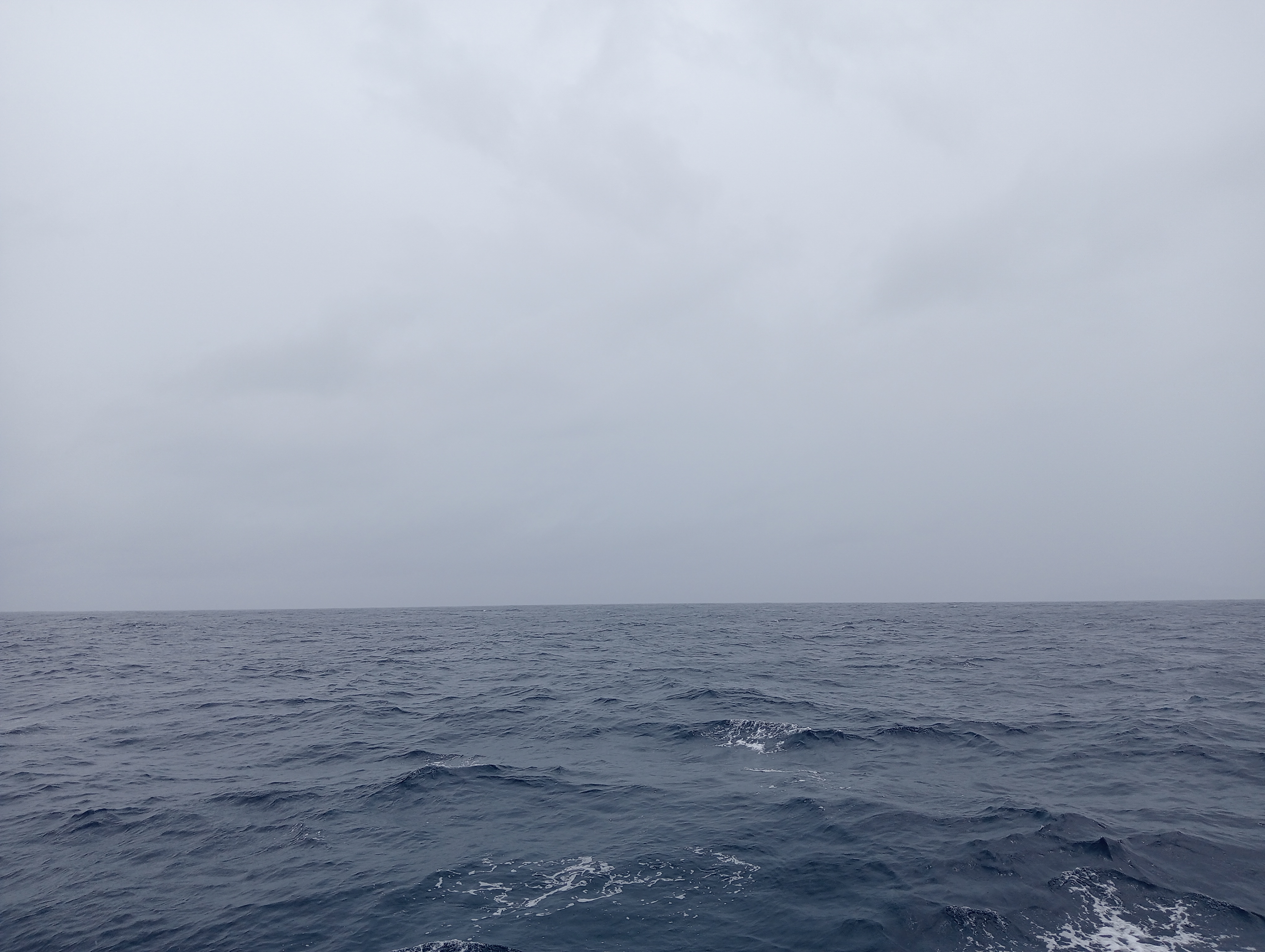 IMG20250714104921.jpg