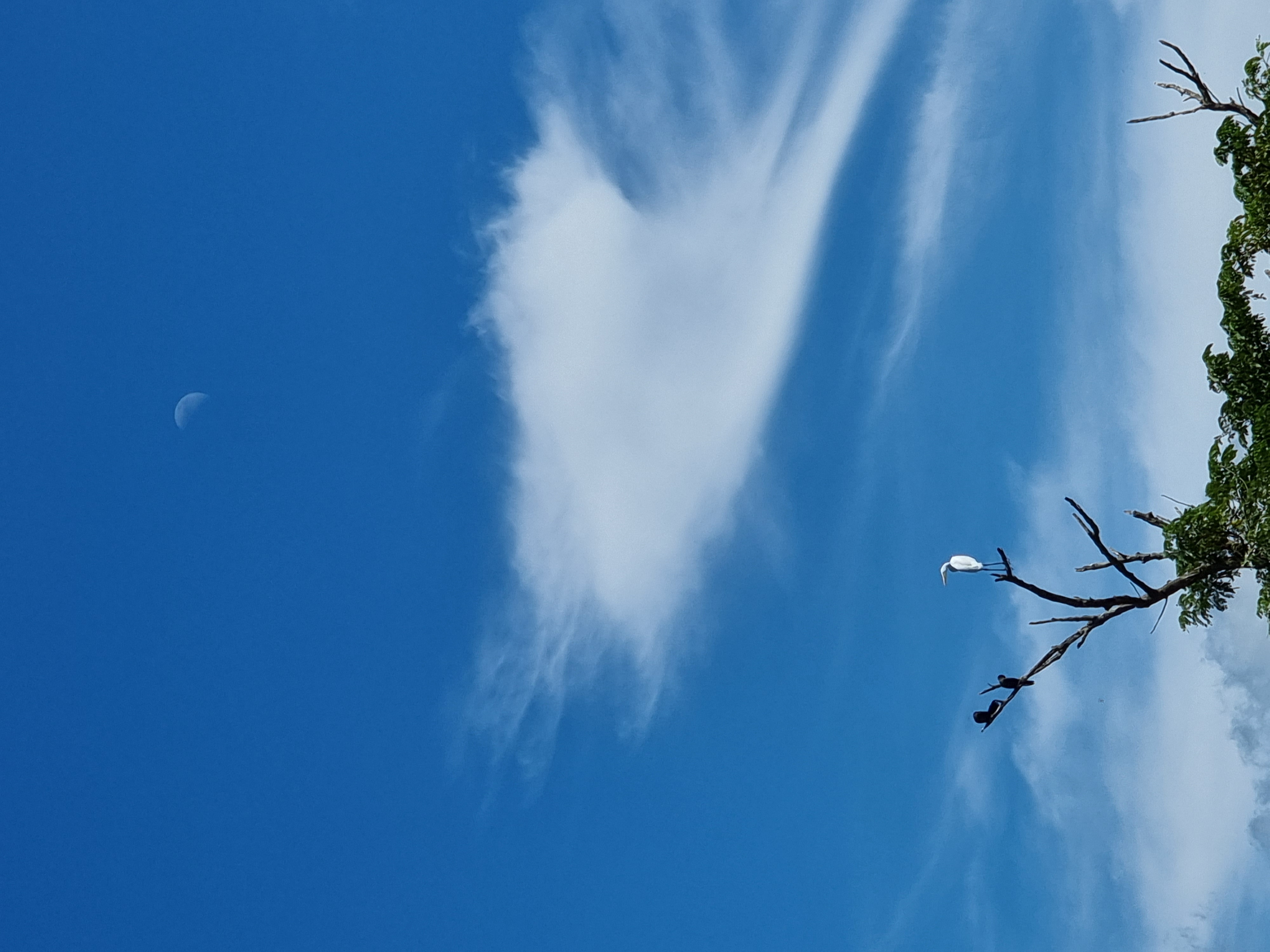 20210913_141157.jpg