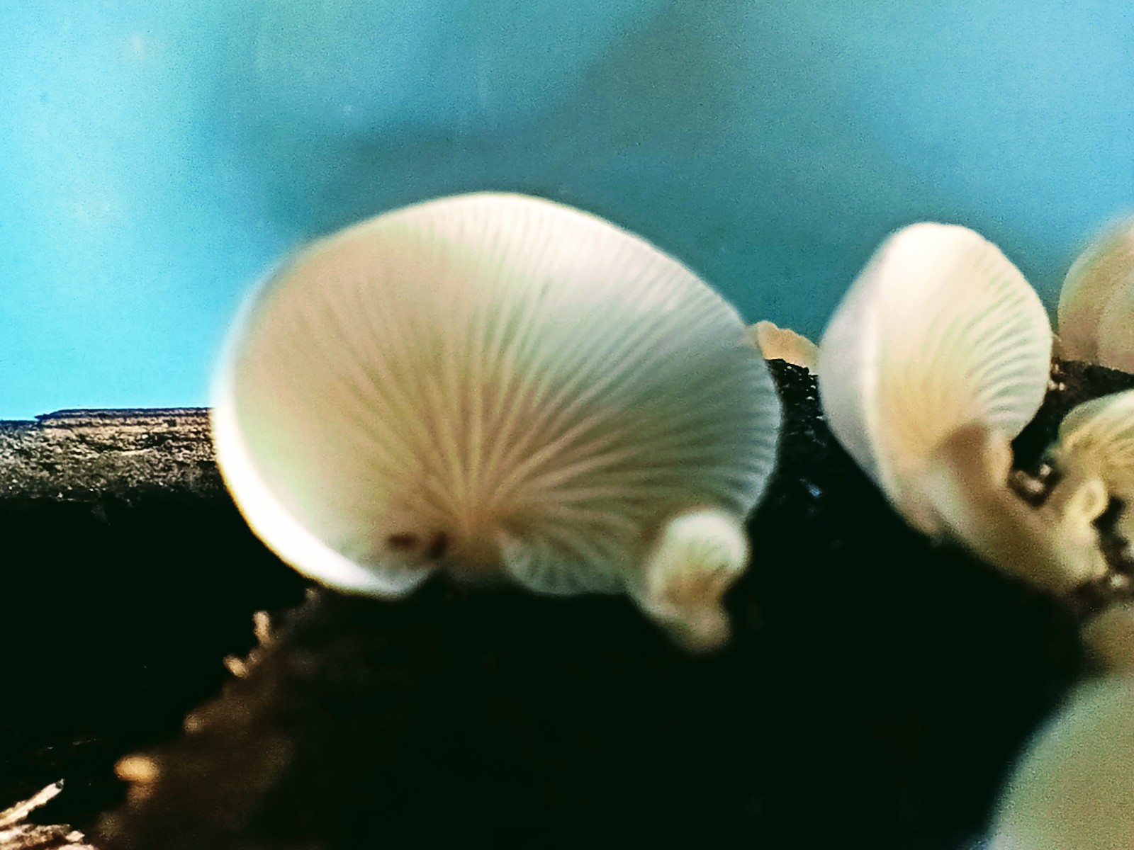 IMG20220917102016_01~2.jpg